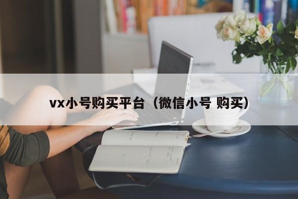 vx小号购买平台（微信小号 购买）