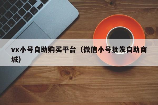 vx小号自助购买平台（微信小号批发自助商城）