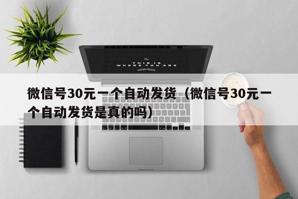 微信号30元一个自动发货（微信号30元一个自动发货是真的吗）