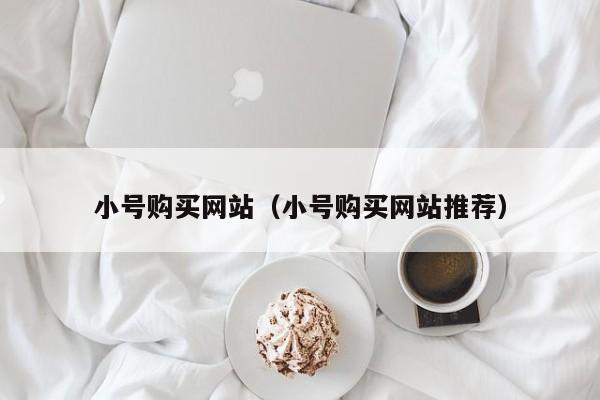 小号购买网站（小号购买网站推荐）