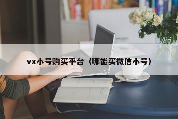 vx小号购买平台（哪能买微信小号）