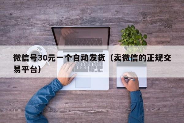 微信号30元一个自动发货（卖微信的正规交易平台）