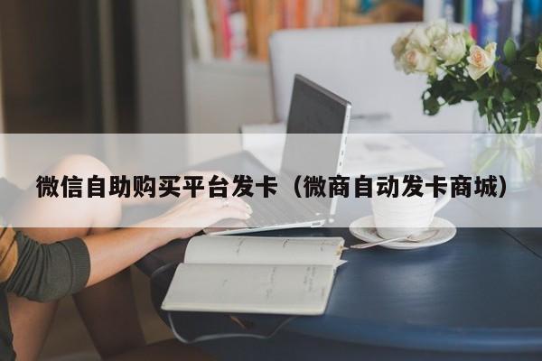 微信自助购买平台发卡（微商自动发卡商城）