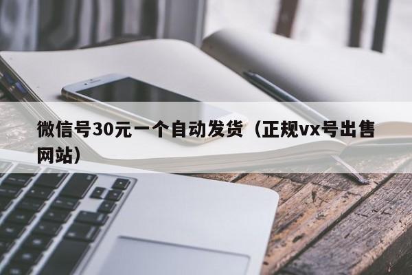 微信号30元一个自动发货（正规vx号出售网站）