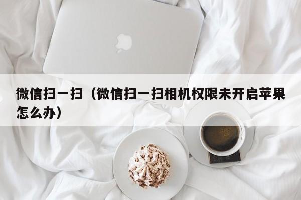微信扫一扫（微信扫一扫相机权限未开启苹果怎么办）