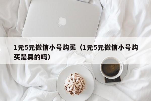 1元5元微信小号购买（1元5元微信小号购买是真的吗）
