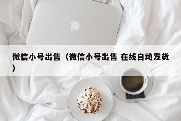 微信小号出售（微信小号出售 在线自动发货）