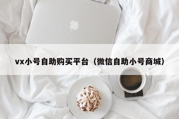 vx小号自助购买平台（微信自助小号商城）
