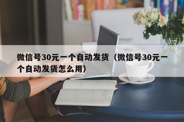 微信号30元一个自动发货（微信号30元一个自动发货怎么用）